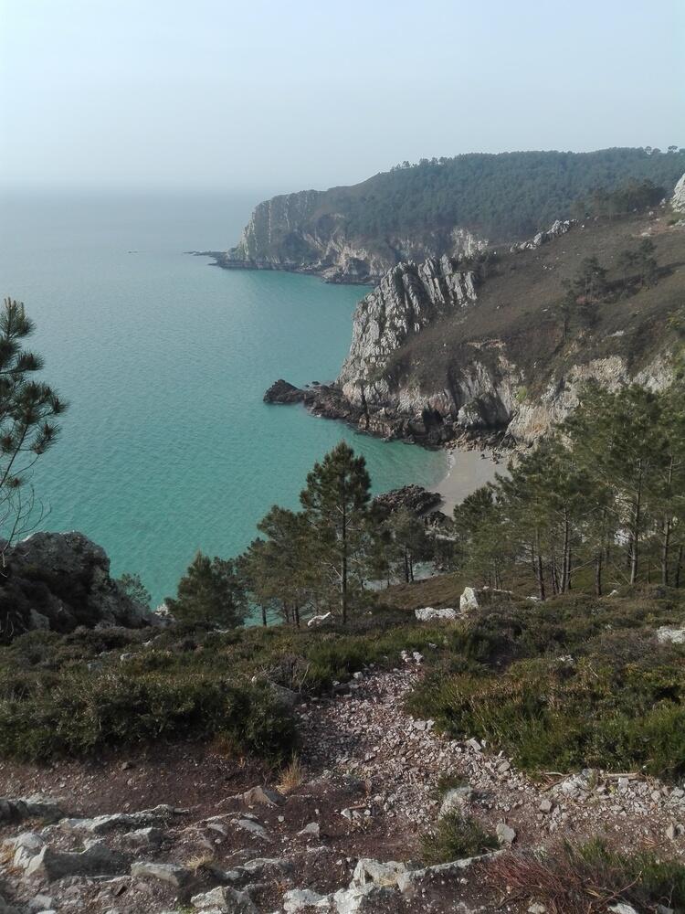 Cap de la Chèvre, eau turquoise et pins Cap de la Chèvre, eau turquoise et pins