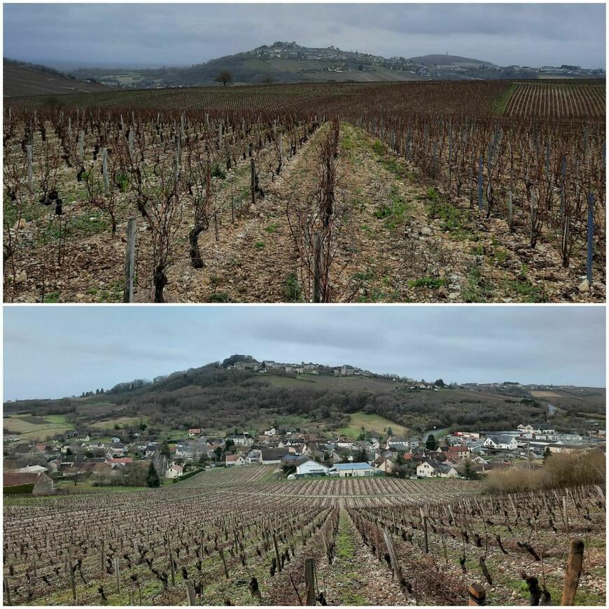 Sancerre et ses vignes Sancerre et ses vignes