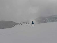 L'espace blanc L'espace blanc