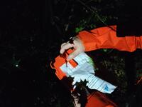 Euréka ! la balise... Ne pas oublier de poinçonner Euréka ! la balise... Ne pas oublier de poinçonner