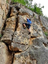 FLORENCE DANS FLORENCE DANS