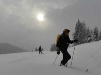 Montée dans le velours Montée dans le velours