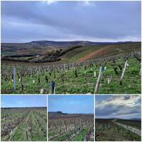 Un paysage qui déroule les points de vue au rythme de nos pas Un paysage qui déroule les points de vue au rythme de nos pas